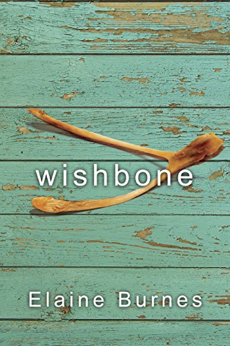 Wishbone view 2
