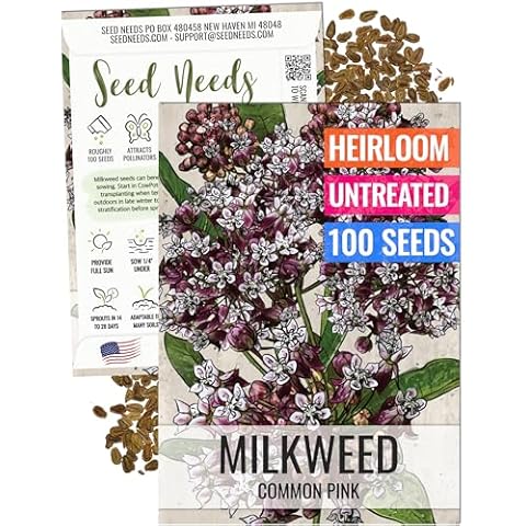 Seed Needs, Pink Common Milkweed Seeds Cover
