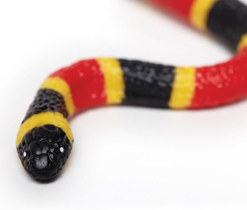 Miniatura 3 de Safari Ltd. Figura de bebé de serpiente de coral, figura detallada de plástico de 10.75 pulgadas, divertido juguete educativo para niños, niñas y