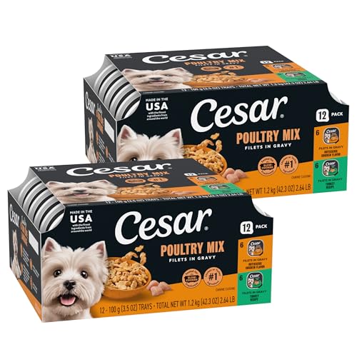 Image of Cesar Filets in Gravy Wet Dog Food, Poultry Mix, 3.5 oz, 12 Count, 2-Pack | Rotisserie Chicken & Turkey flavors, real poultry, easy to digest, no fillers or artificial flavors, easy peel trays