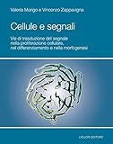 Liguori Editore