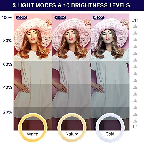 Ringlicht mit Stativ Handy, Dimmbare Ringleuchte für Live-Streaming/Zoom-Meetings/YouTube-Video/Volg/tiktok, kompatibel… – Bild 3