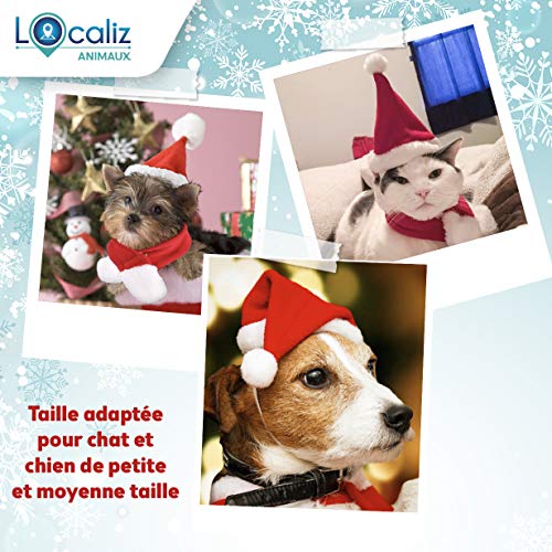 Traceur Gps Pour Chien Comparatif Pour Bien Le Choisir En