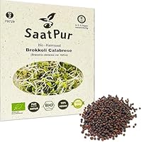 SaatPur Bio Keimsaat - Brokkoli Keimsprossen Sprossen Microgreen - 20 g Lebensmittel Qualität