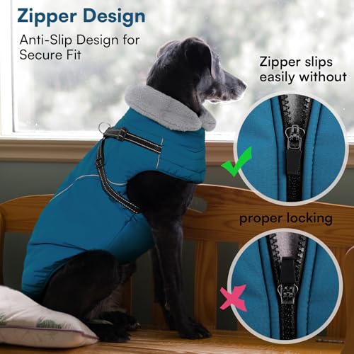 Queenmore Hundejacke Kleine Hunde Winter, Hundemantel Reflektierend Wasserdicht, Hunde Fleecemantel für Dackel/Cockapoo/Spielzeugpudel/Welpen(Coelinblau, S)