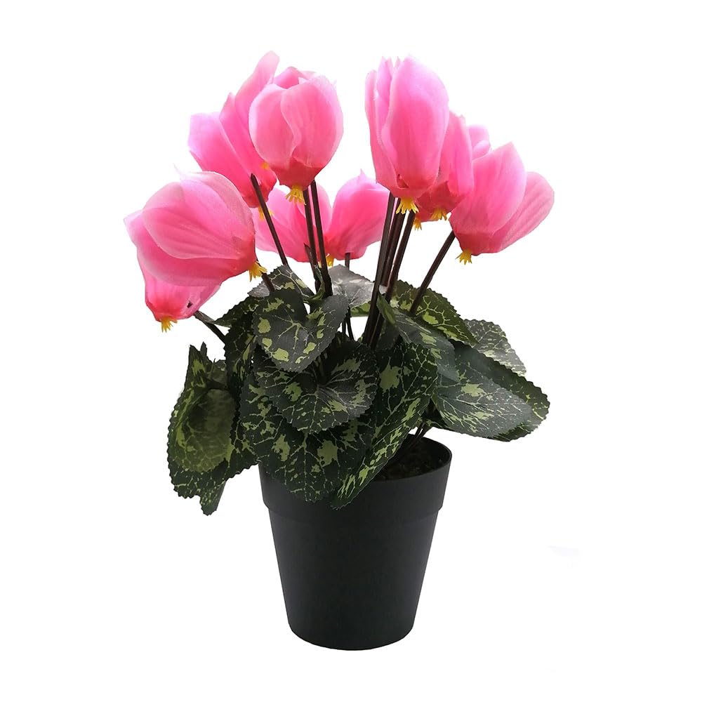 FloristryWarehouse Artificial Faux Silk Cyclamen Flower Bush in Pot 28cm Tall Pink