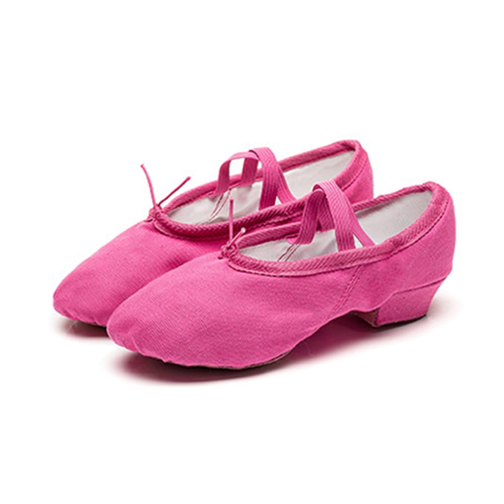 Women's Latin Dance Shoes Kids Canvas Ballroom Character Dance Teaching Shoes Rose 3 M US Little Kid