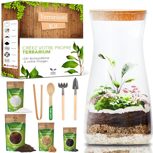 Kit Terrarium Plante DIY avec Verre - Kit Prêt-à-Pousser pour la Création de Jardin en Bouteille...