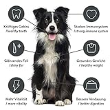 Pets Deli Classic Hunde Nassfutter Lachs, Reis & Kartoffel, leicht verdaulich, mit Omega-3 für Haut & Fell, getreidefrei, ohne Zucker, 6x750 g, Premium Qualität