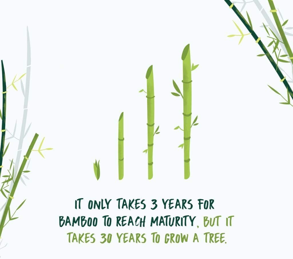 NooTrees Toilet Tissue, Tree Free, Biodegradable, Sustainable, Renewable and FSC Certified 3-ply Toilet Paper, 220 Sheets, 12 Rolls, Pack of 4 (48 Rolls).