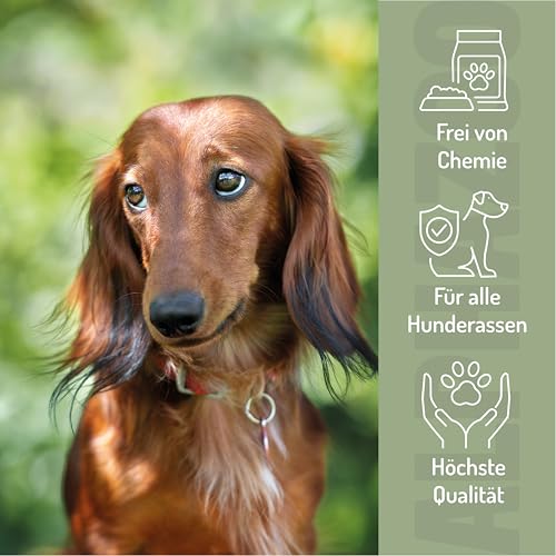 alphazoo Seelenruhe Tabletten für Hunde 180g - Ergänzungsfuttermittel mit Baldrian Melisse Hopfen - mit Hanföl & Taigawurzel - ohne künstliche Zusätze - für Gewitter Silvester Autofahrt