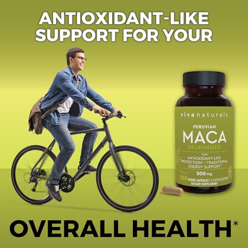 Viva Naturals Peruvian Maca Root Supplement for Women & Men, 500mg - Traditionally Used for Energy, Stamina & Endurance - 250 Yellow Maca Root Powder Capsules, Gelatinized for Easier Digestion - image 3