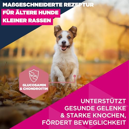 Eukanuba Senior Hundefutter mit frischem Huhn für kleine Rassen, Premium Trockenfutter für ältere Hunde, 3 kg