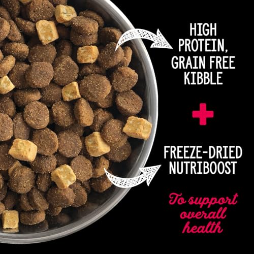 Nutrience Grain Free Subzero Dog Food, 10 kg (22 lbs), Canadian Prairie Red Formula, Dry Dog Food, High Protein Kibble, Nourriture Pour Chien, Manger Pour Chien image 5