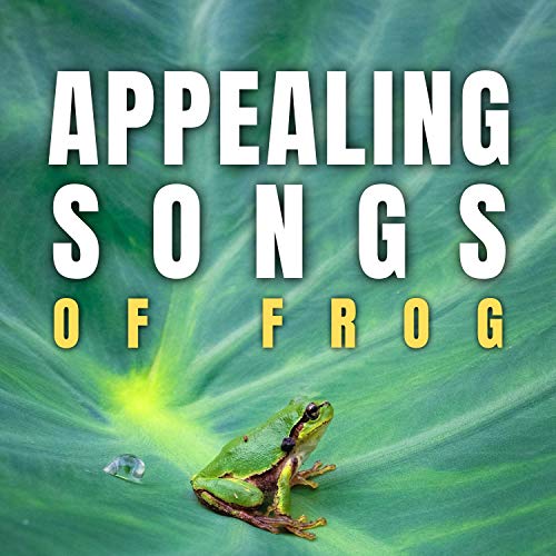 Cricket Sounds, Deep Sleep Music Collective & Spa