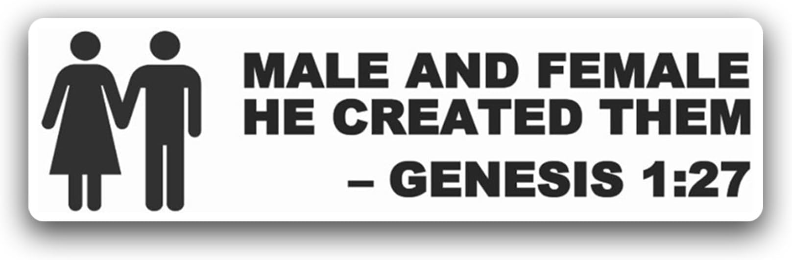 Genesis 1 27 Man Created god in his Image Symbol Sticker