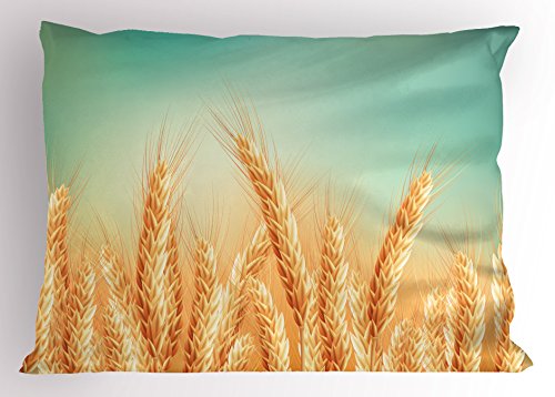 Ambesonne Harvest Pillow Sham, Wheat Field and Blue Sky Agriculture Themed Abstract Composition, Decorative Standard Queen Size Printed Pillowcase, 30