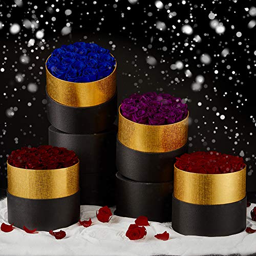 Eterfield Preserved Roses That Last A Year Eternal Rose In A Box That Last A Year Without Fragrance Gift For Her (Round Black Box, 18 Red Roses) #TOP4
