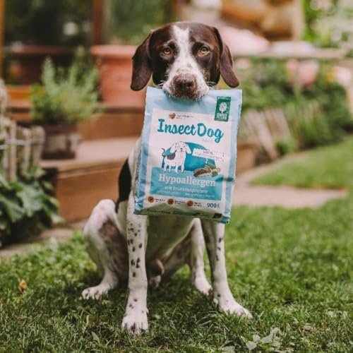 Green Petfood Insect Hypoallergen | Doppelpack | 2 x 900 g | Alleinfuttermittel für ausgewachsene Hunde | Bei Nährstoffintoleranzen | Getreidefrei, mit Insektenprotein