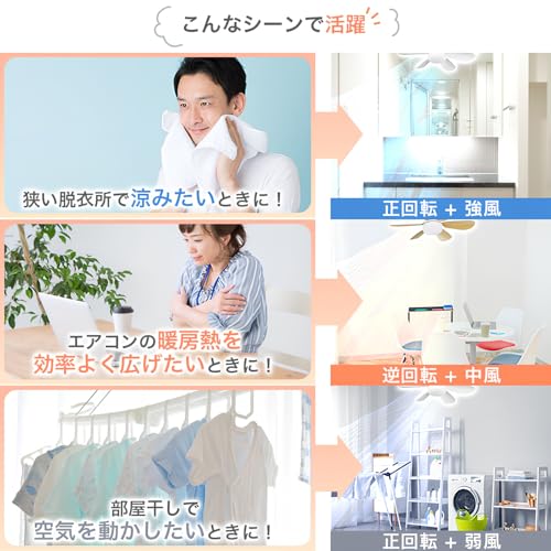 ビームテック(Beamtec) LEDシーリングファンライト FANL-LUCE の商品画像 7