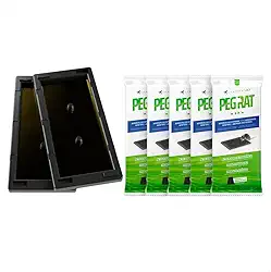 Kit 5 Pares Armadilha Adesiva Peg Rat Control Up Captura Ratos Ratazanas Camundongos