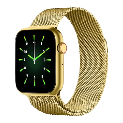 Fire-Boltt Lumos Stainless Steel Luxury Smart Watch with inch