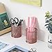 PAG Pencil Holder for Desk, 2 Pack Desktop Pen Cup, Office Supplies Rose Gold Desk Organizers and Accessories Organization, Makeup Brush Holder, Copper