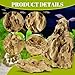 VOKOY 2.5lb Natural Dragon Stones, Aquarium Rocks Decoration Aquascaping Stone Landscaping Model for Fish Tank Decor Terrariums Paludariums Reptile Enclosures Gardens, 2-4 inches