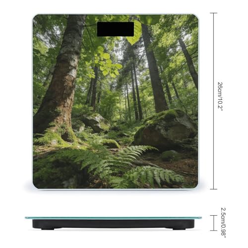Báscula digital Forest para peso corporal con pantalla LCD grande miniatura 2