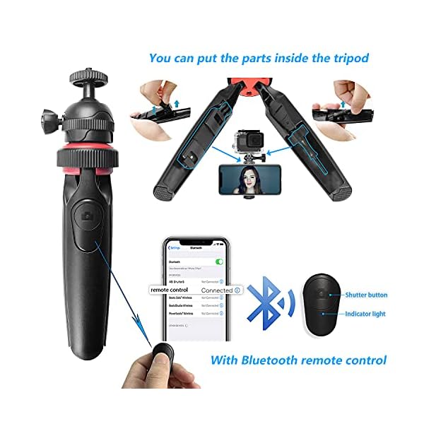 PLEASION ringlicht mit stativ Handy, 10 " Selfie Ringleuchte mit Fernbedienung, 3 Farbe und 10 Helligkeitsstufen Ring Light Für Selfie /YouTube /Tiktok Videoaufnahmen/Live-Stream/Makeup/Vlog – Bild 5
