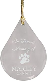 GiftsForYouNow Teardrop Pet Memorial Ornament, Clear Glass, 3.75