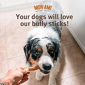 Mon Ami Jumbo Bully Sticks for Large and Small Dogs (5-6 inches, Pack of 12) – Grass Fed Dog Treats – Bully Sticks Natural Dog Treat