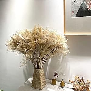 YC’s CHOICE 100 pcs Dried Pampas Grass Decor,Raw Color,20″ Tall Plants for Wedding Bouquets Arrangements or Boho Home Decoration,Rustic Living Room Decor