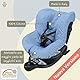 Babysanity® Weicher Universal-Kindersitzbezug 0/18 aus Doppelschwamm aus 100% Baumwolle, waschbar mit Gurten, hergestellt in Italien - (Avio)