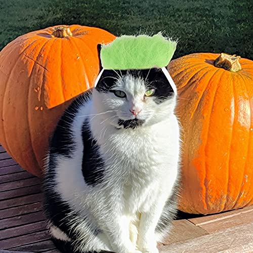 Disfraz para perro y gato con peluca ajustable UKCOCO Halloween miniatura 7