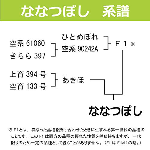 Amazon.co.jp: 令和7年産 北海道産 ななつぼし 玄米 30kg 北海道米 一