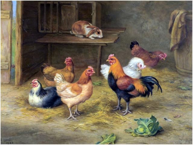 Intruder Farmyard Rooster Hens Accent Tile Mural Kitchen Wall Backsplash Ceramic