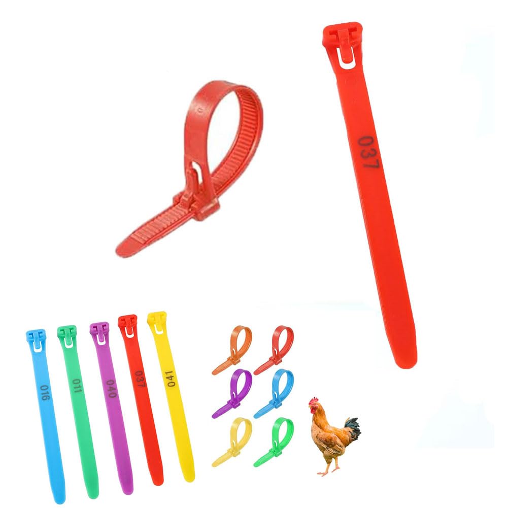 Amazon.com: HJHLYJQBF 100pcs Self-Grabbing Cable Ties, Multi-Color