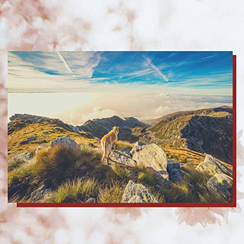 Play Trumpet and Soprano Sax Solos (Music for Relaxing on Wednesday) by