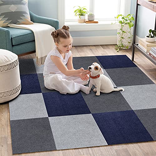 The Best Rugs for Dogs Top Dog Tips