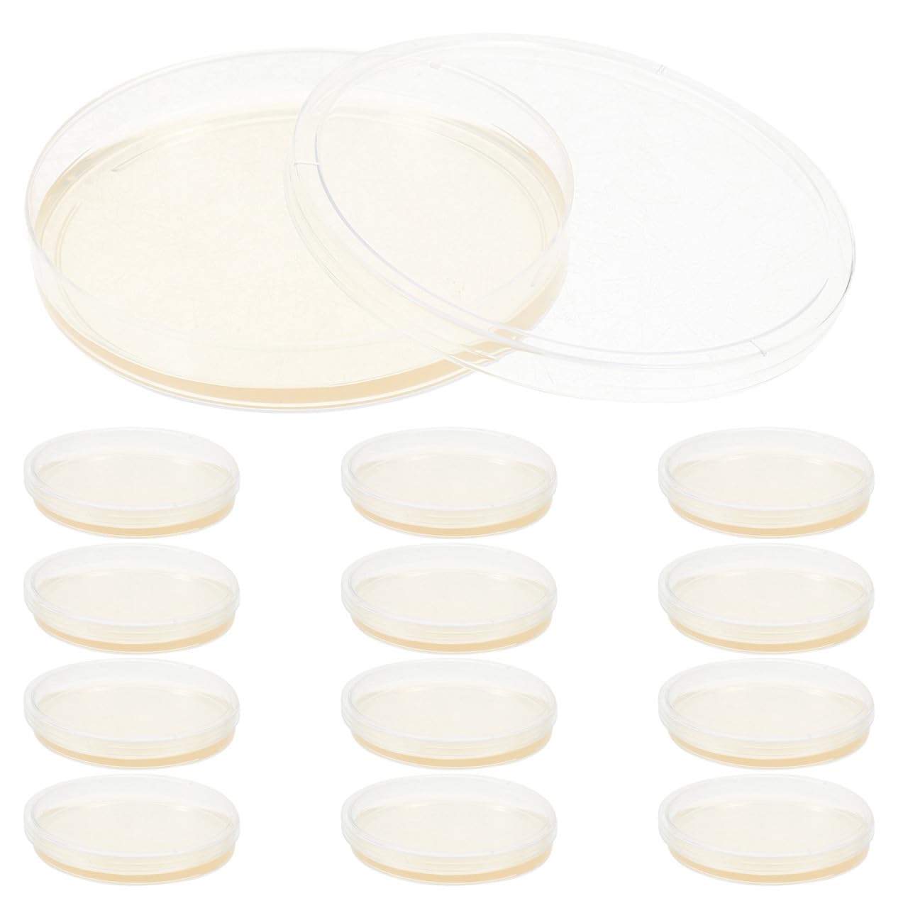 20 Placas Estériles de Petri de Plástico Agar Nutritivo Lb de 9 CM, para Uso en Investigación Microbiológica y Actividades Educativas en Laboratorio