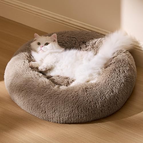 BEDSURE Katzenbett waschbar Flauschiges Hundebett - Ø 50 cm Rund Kissen, Katzenschlafplatz für Katzen Kleine Mittelgroße Hunde, Plüsch Katzenkissen Rund Kuschelbett Katzen Bettchen, Kamel