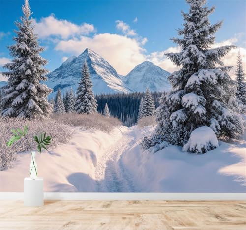 Papier Peint 3D Paysage Grand Format pour Agrandir une Pièce