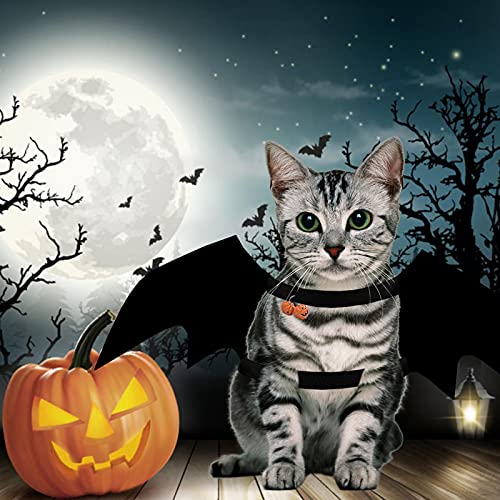 Animali Domestici Ali di Pipistrello, Halloween