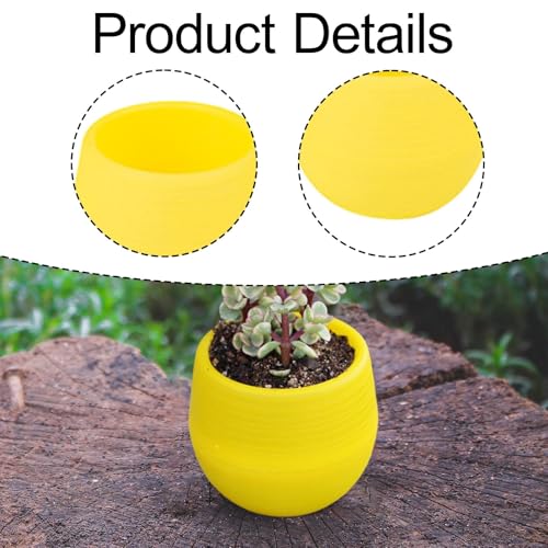 Petits pots de fleurs pour optimiser l'espace de décoration - 4