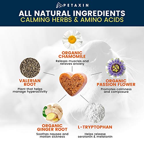 Calming Treats For Dogs – Stress & Anxiety Relief For Dogs – Supports Calm & Relaxed Behavior – Calming Chews For Dogs With Chamomile, Ginger, & More for Barking, Fireworks, Storms – 120 Chews Calming Treats For Dogs – Stress & Anxiety Relief For Dogs – Supports Calm & Relaxed Behavior – Calming Chews For Dogs With Chamomile, Ginger, & More for Barking, Fireworks, Storms – 120 Chews
