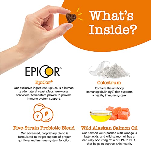 Zesty Paws Allergy Immune Supplement for Dogs - with Omega 3 Wild Alaskan Salmon Fish Oil & EpiCor + Digestive… - Image 4