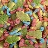 Tropical Frogs