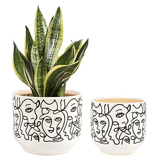 Docrin Plant Pots Indoor with Drainage : 6.6+5.4 Inch Ceramic Flower Pots for Plants - Set of 2 Modern Decorative Face Planters for House/Office/Gift - /Black and White