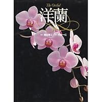 The Orchid 4062000911 Book Cover